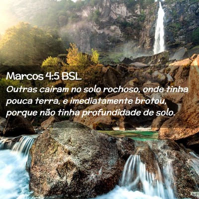 Picture 02 - Marcos 4:5 BSL - Outras caíram no solo rochoso, onde tinha pouca - Bible Verse Picture