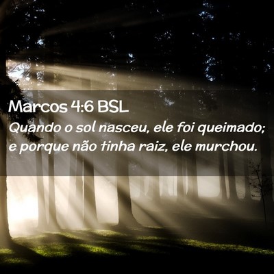 Picture 02 - Marcos 4:6 BSL - Quando o sol nasceu, ele foi queimado; e porque - Bible Verse Picture