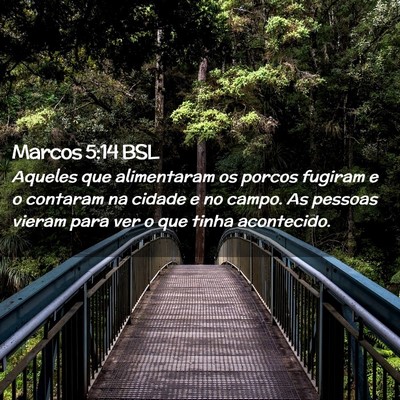 Picture 02 - Marcos 5:14 BSL - Aqueles que alimentaram os porcos fugiram e o - Bible Verse Picture