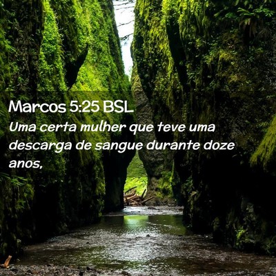 Picture 02 - Marcos 5:25 BSL - Uma certa mulher que teve uma descarga de sangue - Bible Verse Picture