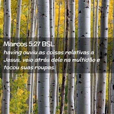 Picture 02 - Marcos 5:27 BSL - having ouviu as coisas relativas a Jesus, veio - Bible Verse Picture