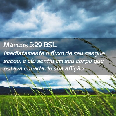 Picture 02 - Marcos 5:29 BSL - Imediatamente o fluxo de seu sangue secou, e ela - Bible Verse Picture