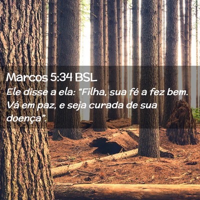 Picture 02 - Marcos 5:34 BSL - Ele disse a ela: “Filha, sua fé a fez bem. Vá - Bible Verse Picture