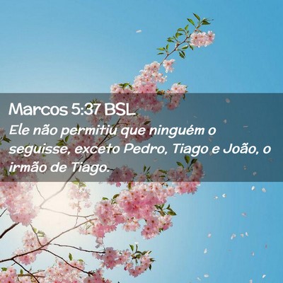 Picture 02 - Marcos 5:37 BSL - Ele não permitiu que ninguém o seguisse, exceto - Bible Verse Picture