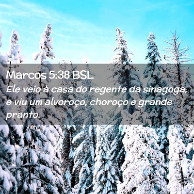 Picture 02 - Marcos 5:38 BSL - Ele veio à casa do regente da sinagoga, e viu um - Bible Verse Picture