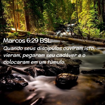 Picture 02 - Marcos 6:29 BSL - Quando seus discípulos ouviram isto, vieram, - Bible Verse Picture