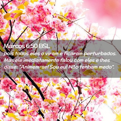 Picture 02 - Marcos 6:50 BSL - pois todos eles o viram e ficaram perturbados. - Bible Verse Picture