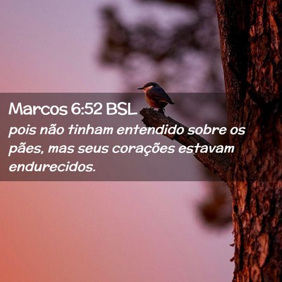 Picture 02 - Marcos 6:52 BSL - pois não tinham entendido sobre os pães, mas - Bible Verse Picture