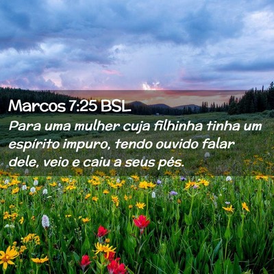 Picture 02 - Marcos 7:25 BSL - Para uma mulher cuja filhinha tinha um espírito - Bible Verse Picture