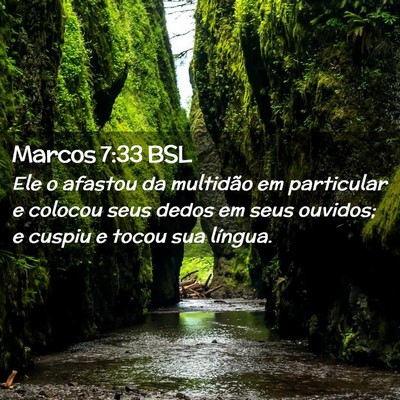 Picture 02 - Marcos 7:33 BSL - Ele o afastou da multidão em particular e - Bible Verse Picture