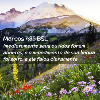 Picture 02 - Marcos 7:35 BSL - Imediatamente seus ouvidos foram abertos, e o - Bible Verse Picture