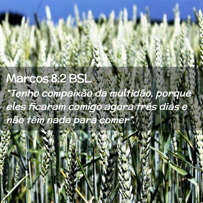 Picture 02 - Marcos 8:2 BSL - “Tenho compaixão da multidão, porque eles - Bible Verse Picture