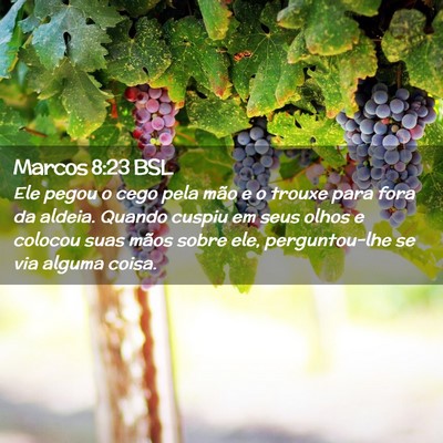 Picture 02 - Marcos 8:23 BSL - Ele pegou o cego pela mão e o trouxe para fora - Bible Verse Picture