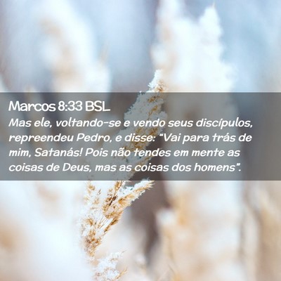 Picture 02 - Marcos 8:33 BSL - Mas ele, voltando-se e vendo seus discípulos, - Bible Verse Picture