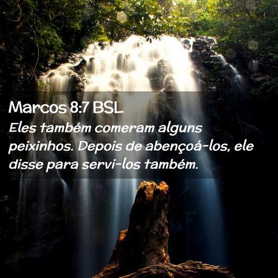 Picture 02 - Marcos 8:7 BSL - Eles também comeram alguns peixinhos. Depois de - Bible Verse Picture