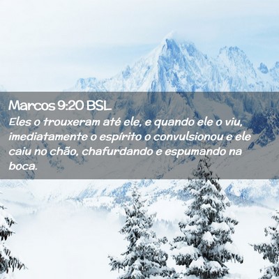 Picture 02 - Marcos 9:20 BSL - Eles o trouxeram até ele, e quando ele o viu, - Bible Verse Picture