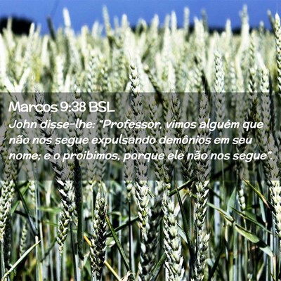 Picture 02 - Marcos 9:38 BSL - John disse-lhe: “Professor, vimos alguém que - Bible Verse Picture