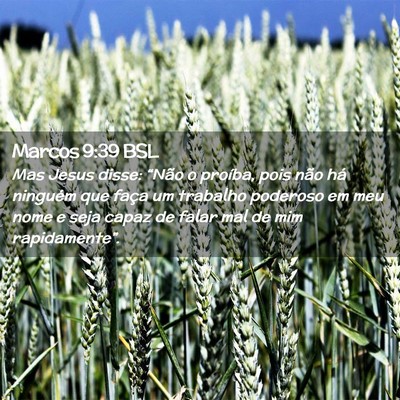 Picture 02 - Marcos 9:39 BSL - Mas Jesus disse: “Não o proíba, pois não há - Bible Verse Picture