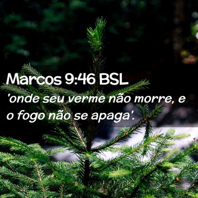 Picture 02 - Marcos 9:46 BSL - 'onde seu verme não morre, e o fogo não se - Bible Verse Picture