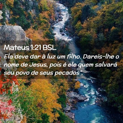 Picture 02 - Mateus 1:21 BSL - Ela deve dar à luz um filho. Dareis-lhe o nome - Bible Verse Picture
