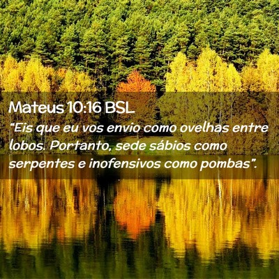Picture 02 - Mateus 10:16 BSL - “Eis que eu vos envio como ovelhas entre lobos. - Bible Verse Picture