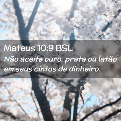 Picture 02 - Mateus 10:9 BSL - Não aceite ouro, prata ou latão em seus cintos - Bible Verse Picture