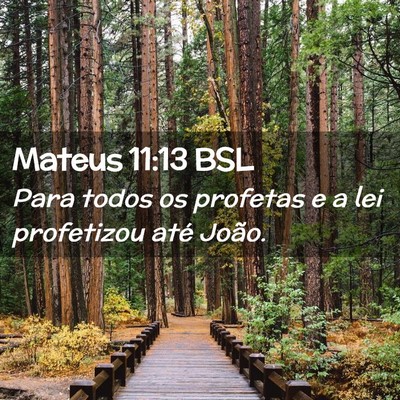 Picture 02 - Mateus 11:13 BSL - Para todos os profetas e a lei profetizou até - Bible Verse Picture