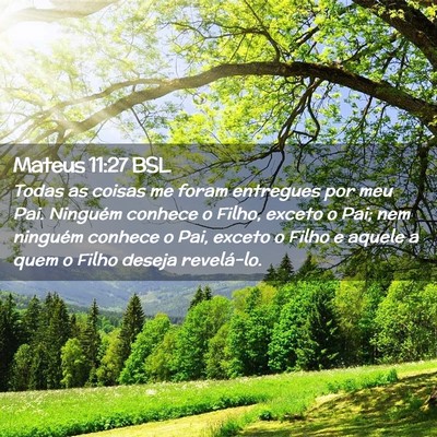 Picture 02 - Mateus 11:27 BSL - Todas as coisas me foram entregues por meu Pai. - Bible Verse Picture