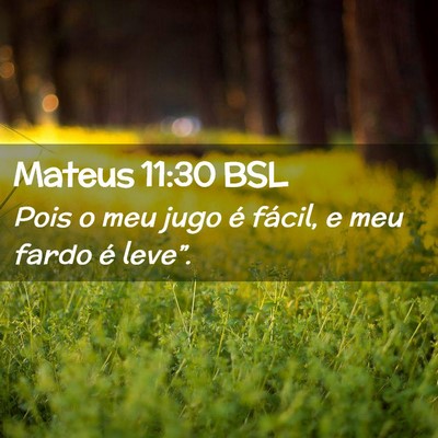 Picture 02 - Mateus 11:30 BSL - Pois o meu jugo é fácil, e meu fardo é - Bible Verse Picture