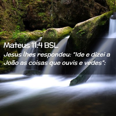 Picture 02 - Mateus 11:4 BSL - Jesus lhes respondeu: “Ide e dizei a João as - Bible Verse Picture