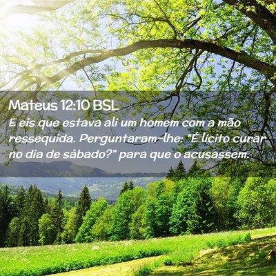 Picture 02 - Mateus 12:10 BSL - E eis que estava ali um homem com a mão - Bible Verse Picture
