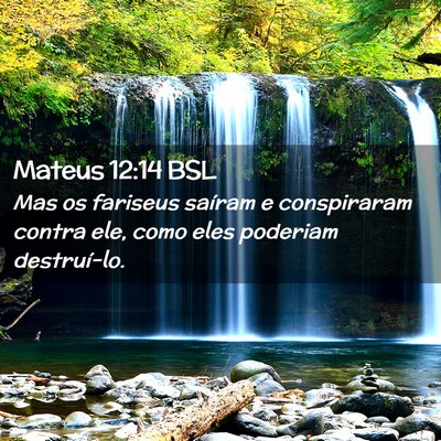 Picture 02 - Mateus 12:14 BSL - Mas os fariseus saíram e conspiraram contra ele, - Bible Verse Picture