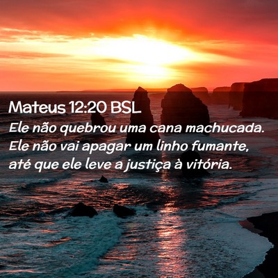 Picture 02 - Mateus 12:20 BSL - Ele não quebrou uma cana machucada. Ele não vai - Bible Verse Picture