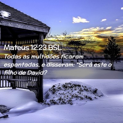 Picture 02 - Mateus 12:23 BSL - Todas as multidões ficaram espantadas, e - Bible Verse Picture