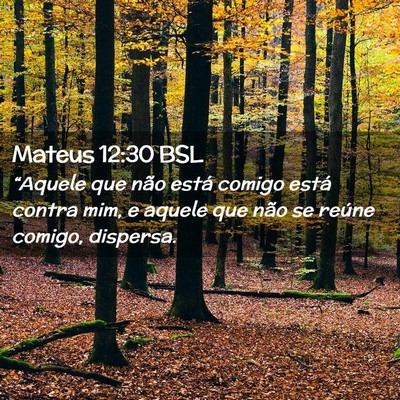 Picture 02 - Mateus 12:30 BSL - “Aquele que não está comigo está contra mim, - Bible Verse Picture