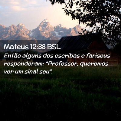 Picture 02 - Mateus 12:38 BSL - Então alguns dos escribas e fariseus - Bible Verse Picture