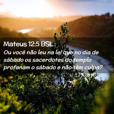Picture 02 - Mateus 12:5 BSL - Ou você não leu na lei que no dia de sábado os - Bible Verse Picture