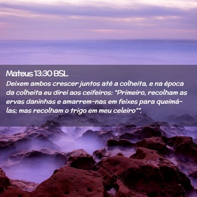 Picture 02 - Mateus 13:30 BSL - Deixem ambos crescer juntos até a colheita, e na - Bible Verse Picture