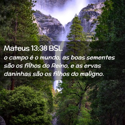Picture 02 - Mateus 13:38 BSL - o campo é o mundo, as boas sementes são os - Bible Verse Picture