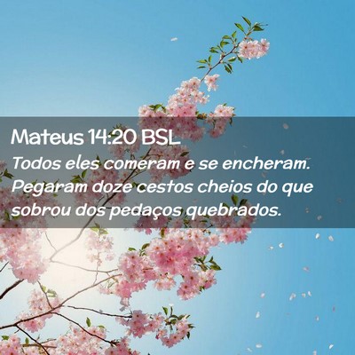 Picture 02 - Mateus 14:20 BSL - Todos eles comeram e se encheram. Pegaram doze - Bible Verse Picture