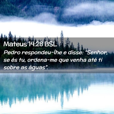 Picture 02 - Mateus 14:28 BSL - Pedro respondeu-lhe e disse: “Senhor, se és - Bible Verse Picture