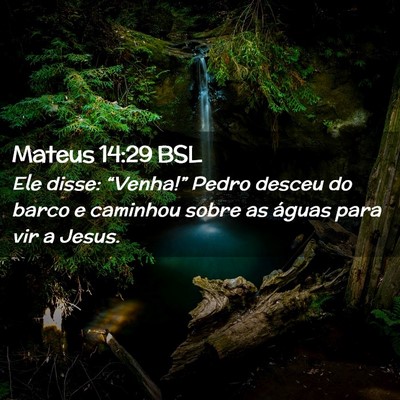 Picture 02 - Mateus 14:29 BSL - Ele disse: “Venha!” Pedro desceu do barco e - Bible Verse Picture