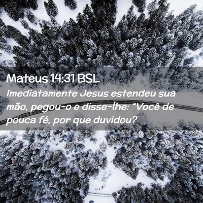 Picture 02 - Mateus 14:31 BSL - Imediatamente Jesus estendeu sua mão, pegou-o e - Bible Verse Picture