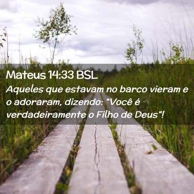 Picture 02 - Mateus 14:33 BSL - Aqueles que estavam no barco vieram e o adoraram, - Bible Verse Picture
