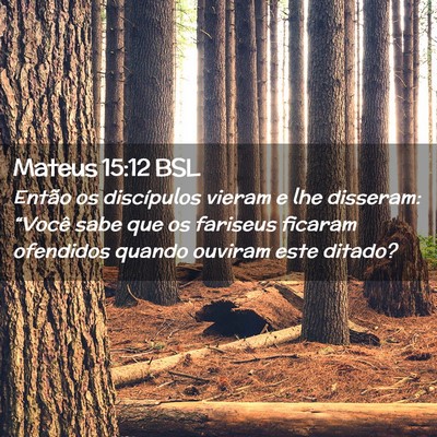 Picture 02 - Mateus 15:12 BSL - Então os discípulos vieram e lhe disseram: - Bible Verse Picture