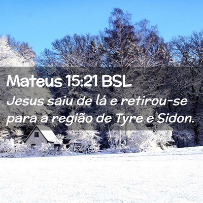 Picture 02 - Mateus 15:21 BSL - Jesus saiu de lá e retirou-se para a região de - Bible Verse Picture