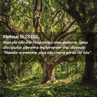 Picture 02 - Mateus 15:23 BSL - Mas ele não lhe respondeu uma palavra. Seus - Bible Verse Picture