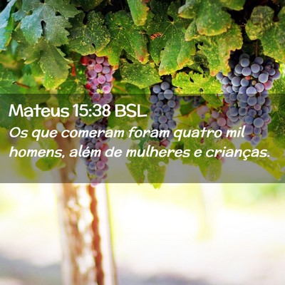 Picture 02 - Mateus 15:38 BSL - Os que comeram foram quatro mil homens, além de - Bible Verse Picture