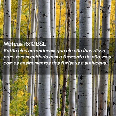 Picture 02 - Mateus 16:12 BSL - Então eles entenderam que ele não lhes disse - Bible Verse Picture