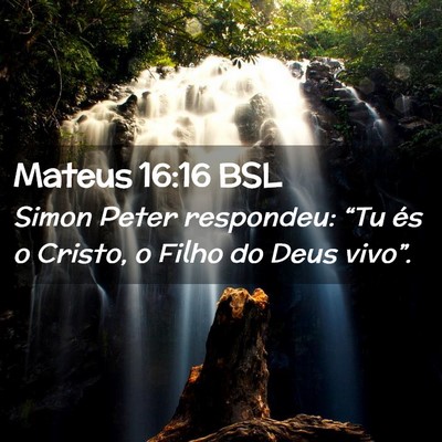 Picture 02 - Mateus 16:16 BSL - Simon Peter respondeu: “Tu és o Cristo, o - Bible Verse Picture